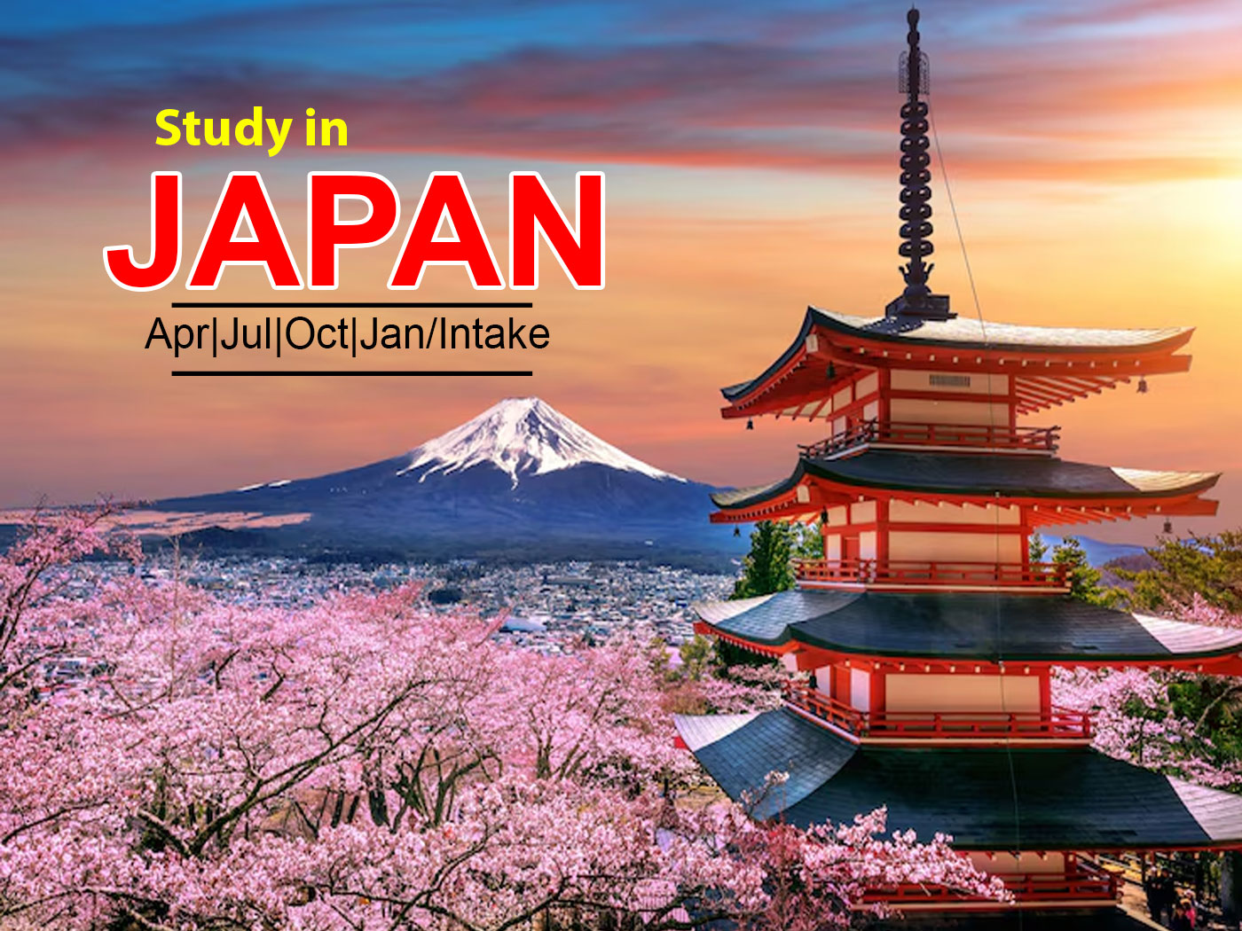 Japanese Language Preparation